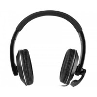 Slika SpeedLink Thebe CS 01