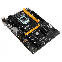 Slika Biostar TB250-BTC