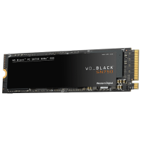 Slika 1 TB Western Digital WDS100T3X0C