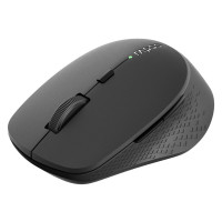 Slika Rapoo M300 Black