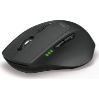 Slika Rapoo MT550 Black