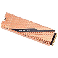 Slika 1 TB Gigabyte GP-ASM2NE6100TTTD