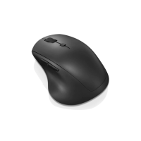 Slika Lenovo 600 GY50U89282