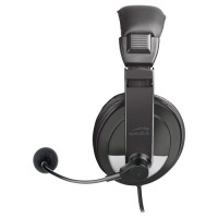 Slika Speedlink Thebe Stereo