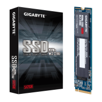 Slika 512 GB Gigabyte GP-GSM2NE3512GNTD