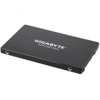 Slika 256 GB Gigabyte GP-GSTFS30256GTTD