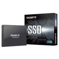 Slika 256 GB Gigabyte GP-GSTFS30256GTTD