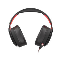 Slika Genesis Radon 610