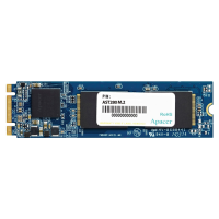 Slika 120 GB Apacer AST280