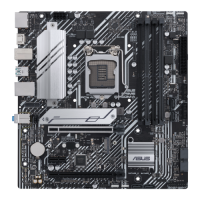 Slika Asus PRIME B560M-A