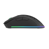 Slika Genesis Zircon 550