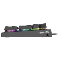 Slika Genesis Thor 300 RGB Brown Switch RGB US