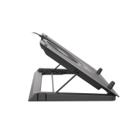 Slika Genesis Oxid 550