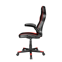 Slika Trust GXT 704 Ravy