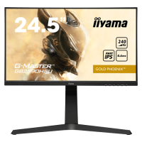 Slika proizvoda IIYAMA GB2590HSU-B1