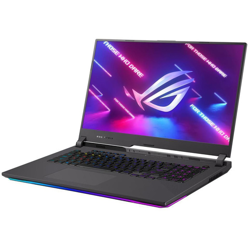 Slika Asus G713RM-KH011