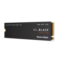 Slika 1 TB Western Digital WDS100T3X0E