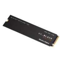 Slika 1 TB Western Digital WDS100T3X0E