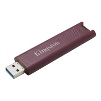 Slika 1 TB 3.2, Kingston DTMAXA/1TB
