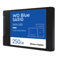 Slika 250 GB Western Digital WDS250G3B0A