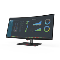Slika Lenovo ThinkVision P40w-20 62DDGAT6EU