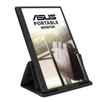 Slika Asus MB166B