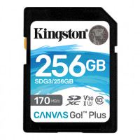 Slika SD Card 256 GB Kingston SDG3/256GB
