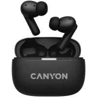Slika proizvoda Canyon CNS-TWS10B