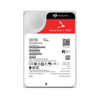 Slika 20 TB Seagate ST20000NT001 3.5"