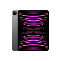Slika iPad Pro (6th) Wi_Fi 128GB - Space Grey MNXP3HC/A