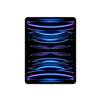 Slika iPad Pro (6th) Cellular 128GB - Silver MP1Y3HC/A
