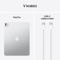 Slika iPad Pro M4 Wi-Fi 2TB sa nanoteksturisanim staklom - Silver MWRJ3HC/A