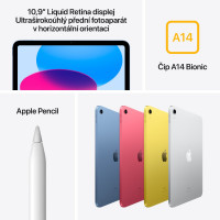 Slika iPad (10th) Wi-Fi 256GB - Silver MCMD4HC/A