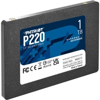 Slika 1 TB Patriot P220S1TB25
