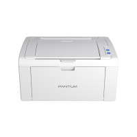 Slika Pantum P2509