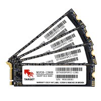 Slika 128 GB Target MSP20-128GB