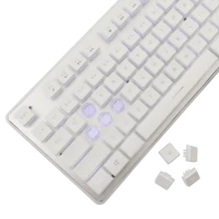 Slika White Shark GK 003241 TACHI White US