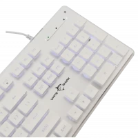Slika White Shark GK 003241 TACHI White US