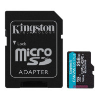 Slika SD Card 256 GB Kingston SDCG4/256GB