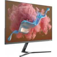 Slika Tesla 24MC346GF