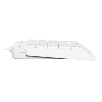 Slika A4Tech FK13P FSTYLER