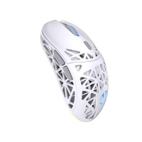 Slika Endorfy LIV Plus Wireless OWH PAW EY6A017