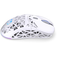Slika Endorfy LIV Plus Wireless OWH PAW EY6A017