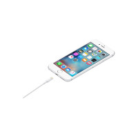 Slika Apple Lightning to USB Cable (1 m)