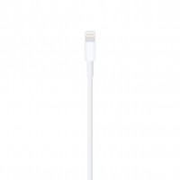 Slika Apple Lightning to USB Cable (1 m)