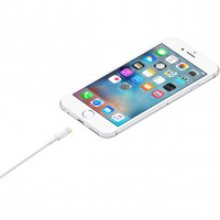 Slika Apple Lightning to USB Cable (1 m)