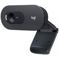 Slika Logitech C505E Black 960-001372