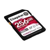 Slika 256 GB Kingston SDR2/256GB