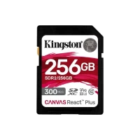 Slika proizvoda 256 GB Kingston SDR2/256GB