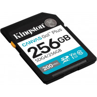 Slika proizvoda 256 GB Kingston SDG4/256GB